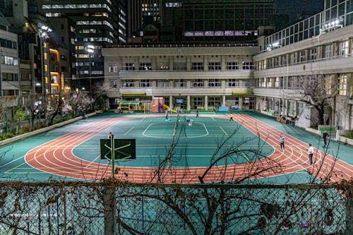 即插即用！塞斯·库里首秀收获14分，命中率高达85.7%