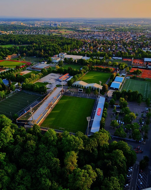 热刺vs小蜜蜂首发：库杜斯、里沙利松领衔！帕利尼亚替补